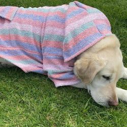 Pet Sweaters/ Suéteres Para Las Mascotas 