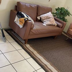 Small Brown Couch
