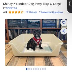 Dog Potty Training Tray