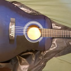 Beginners Acoustic Guitar Protocol