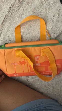 Trader Joe’s mini lunch bag