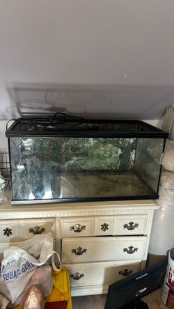 Fish Tank