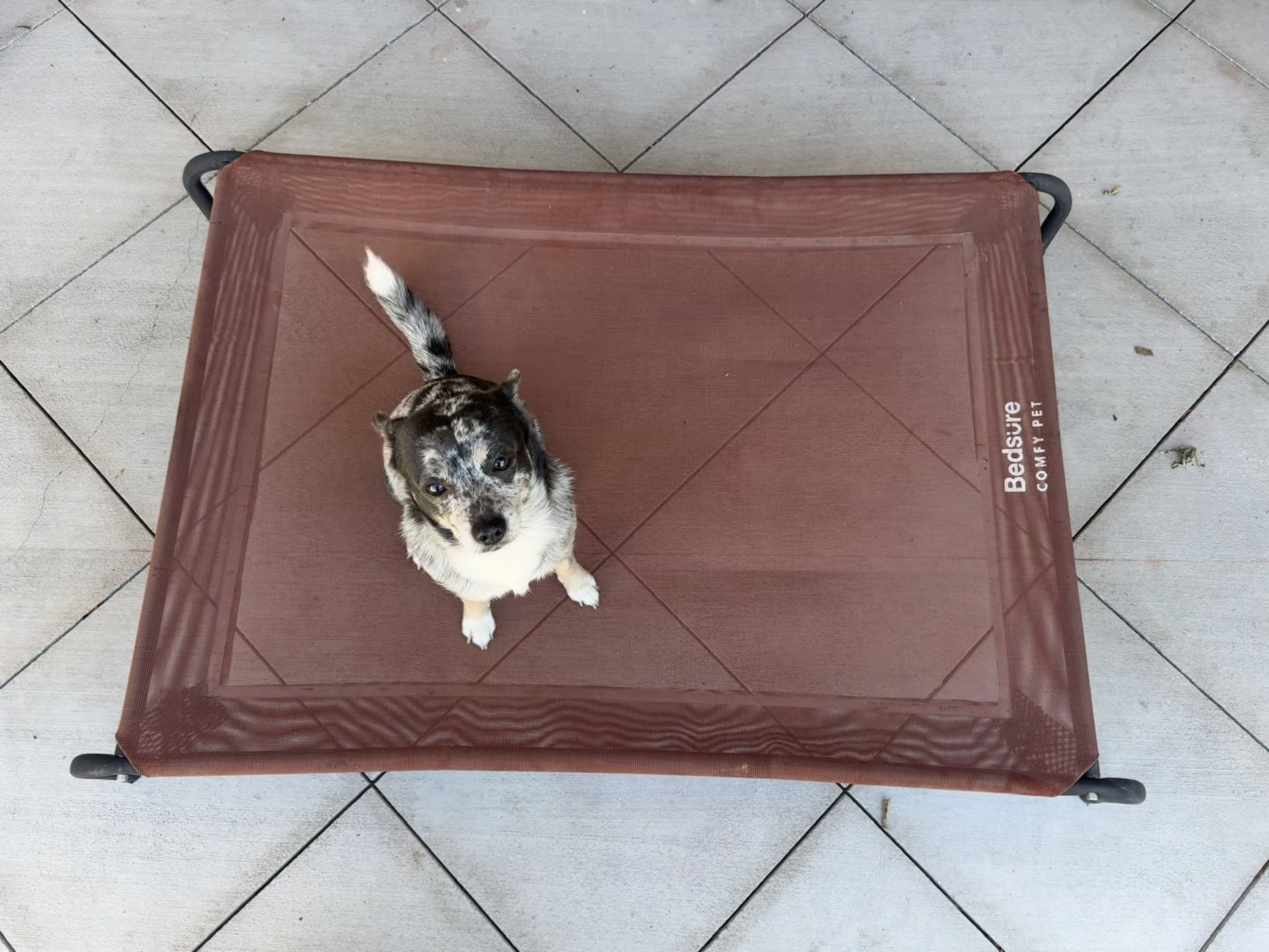 XL Dog Bed