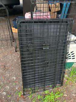 Animal cages $25 &12&13 crate. 24” folding $25 53”  $20. Very cleanT42”. For $35 cash firm