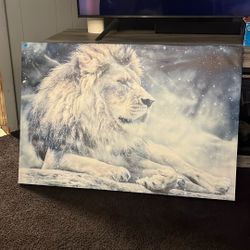 Lion Picture