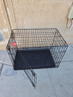 36w x 22d x 24 h jail dog