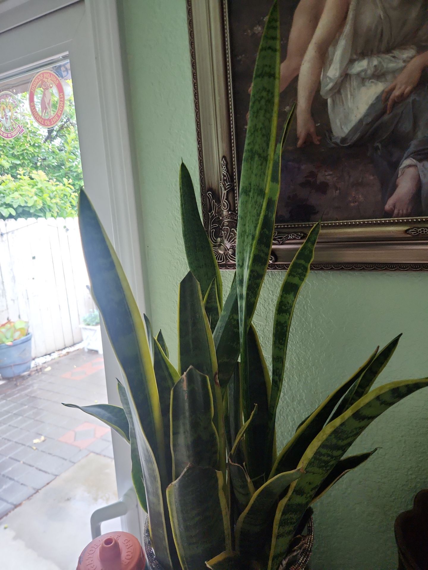 Planta natural,