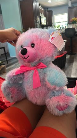Study Teddy new