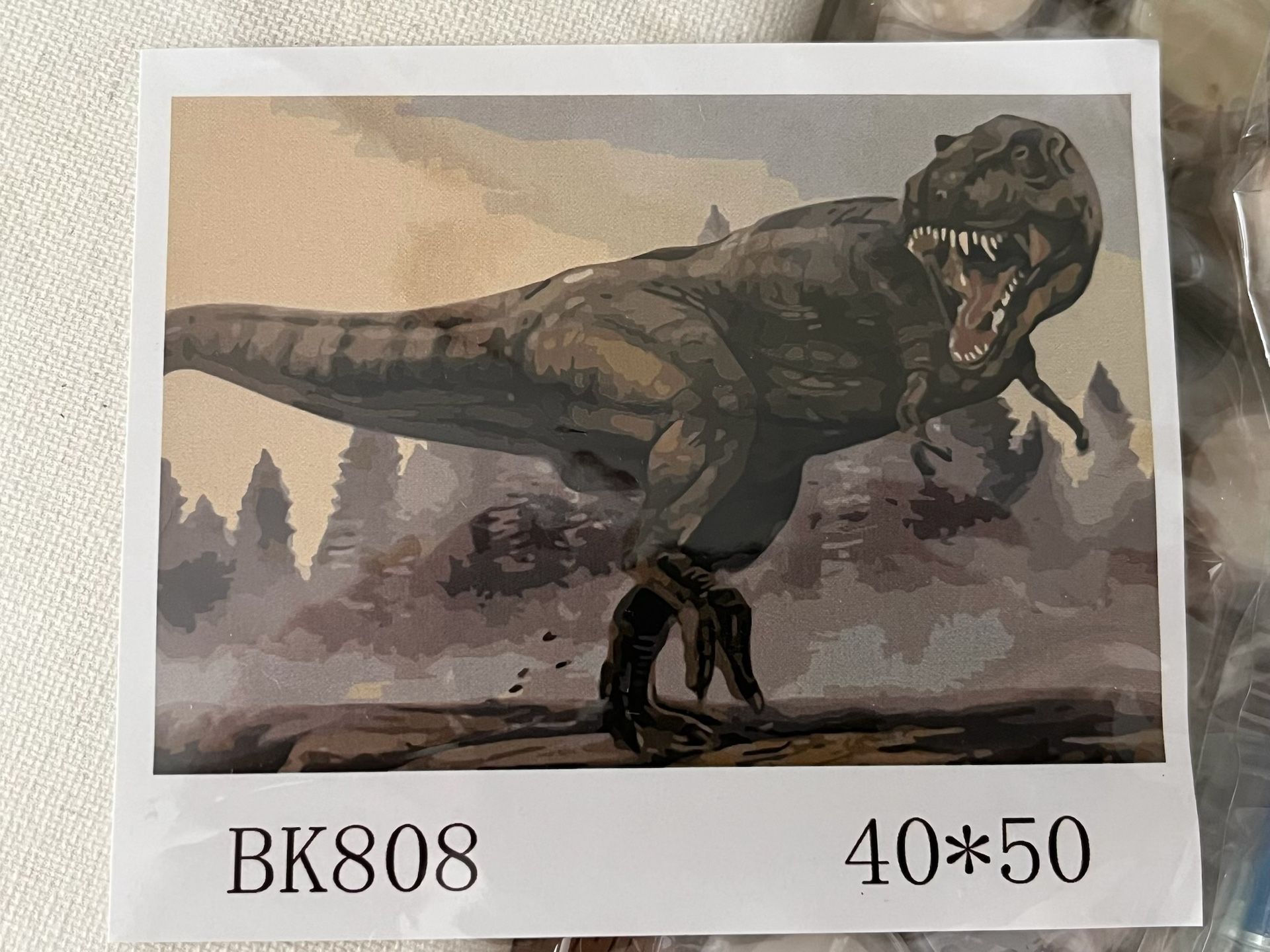T-Rex Paint By Number