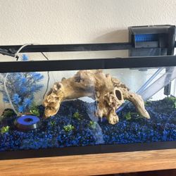 20 Gal Aqueon Standard Glass Rectangle Aquarium