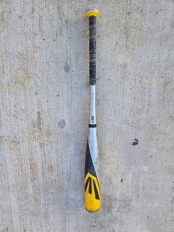 Easton Baseball Bat