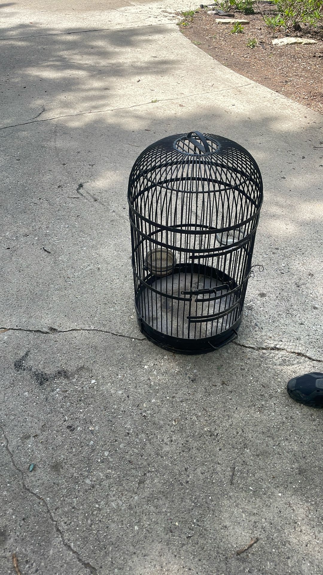 Old Bird Cage