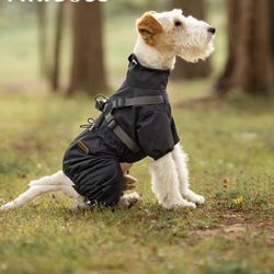 Small Dog Rain Coat Black