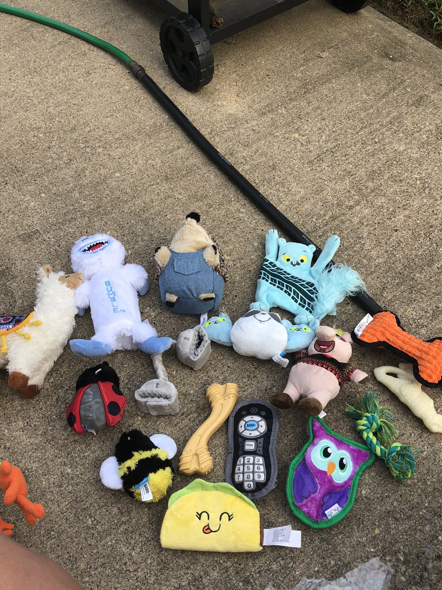 A lot of cat and dog toys