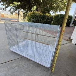 White Bird Cage 
