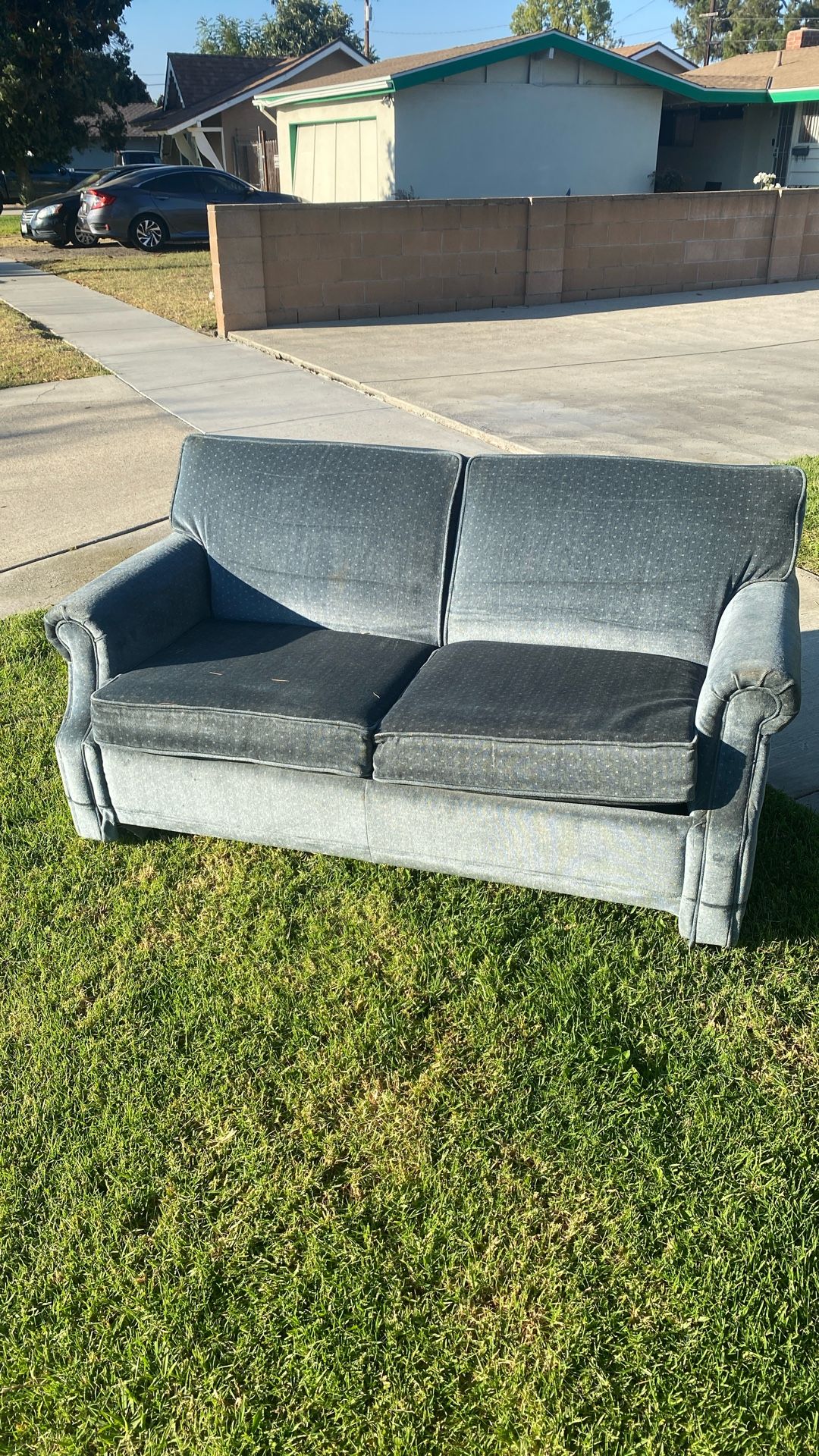 Free Loveseat/ Twin Sofa Sleeper