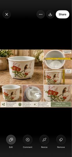 Ceramic or porcelain bowl/planter
