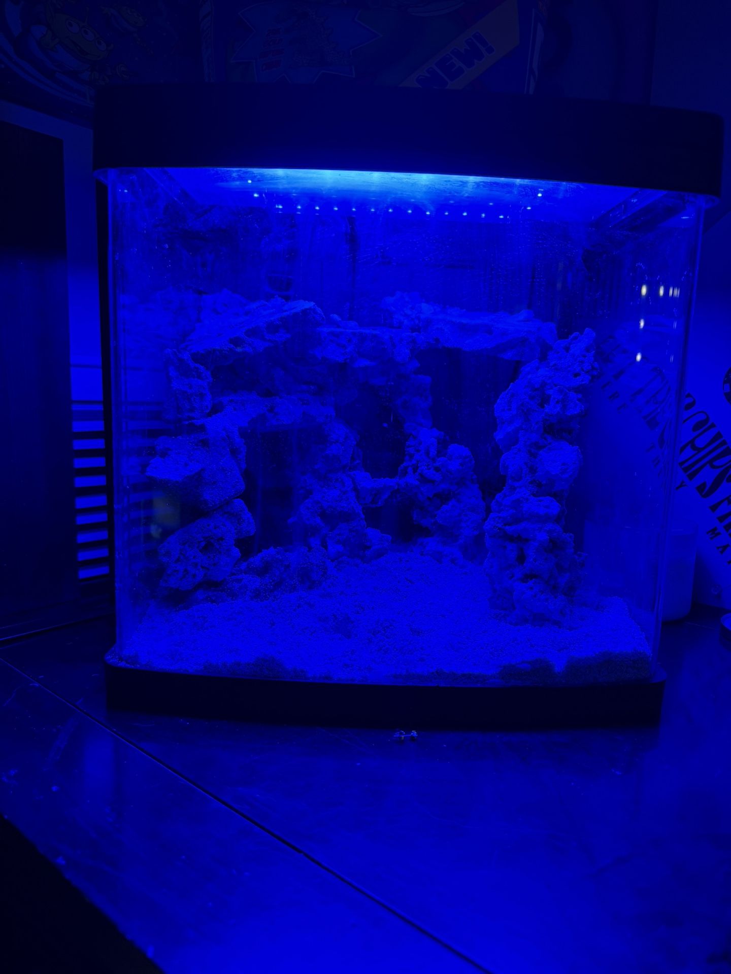 Fish Tank