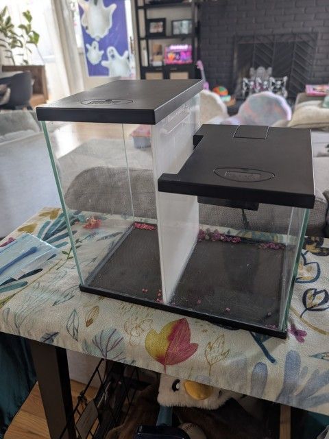 Double Fish tank - Best For Beta Fish.