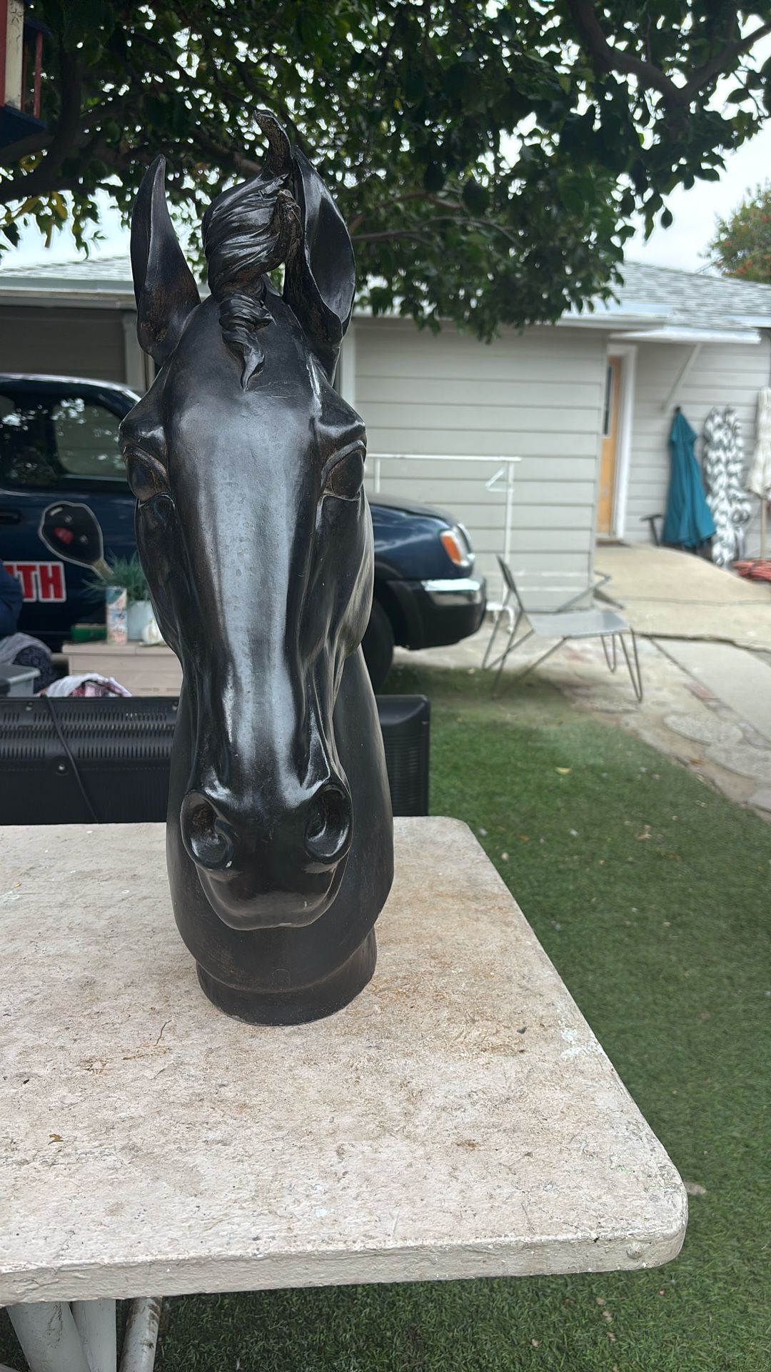 Horse Head