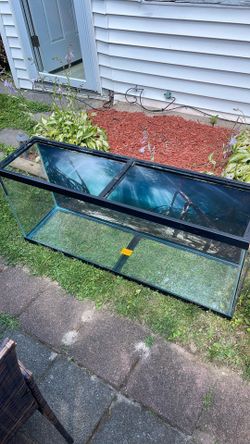 55 Gallon Aquarium Fish Tank and More