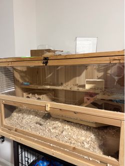 GERBILS