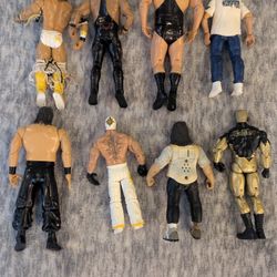WWE Wrestling Figures Used 
