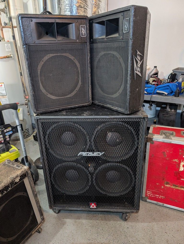 DJ or Band Speakers