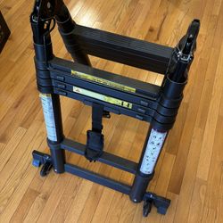 Telescopic Ladder
