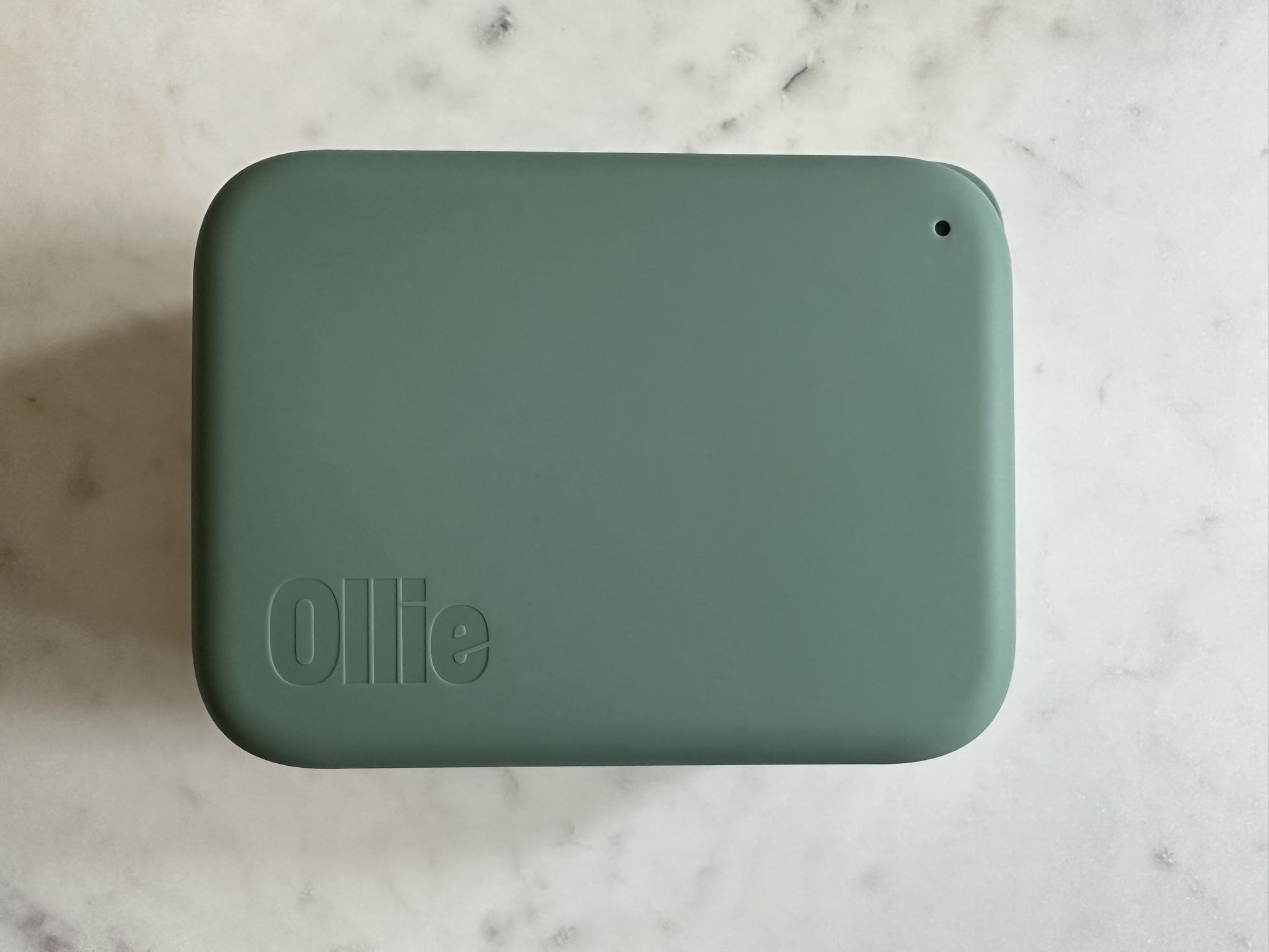Ollie Dog Food Container
