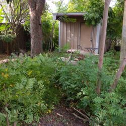 garden cleaning
