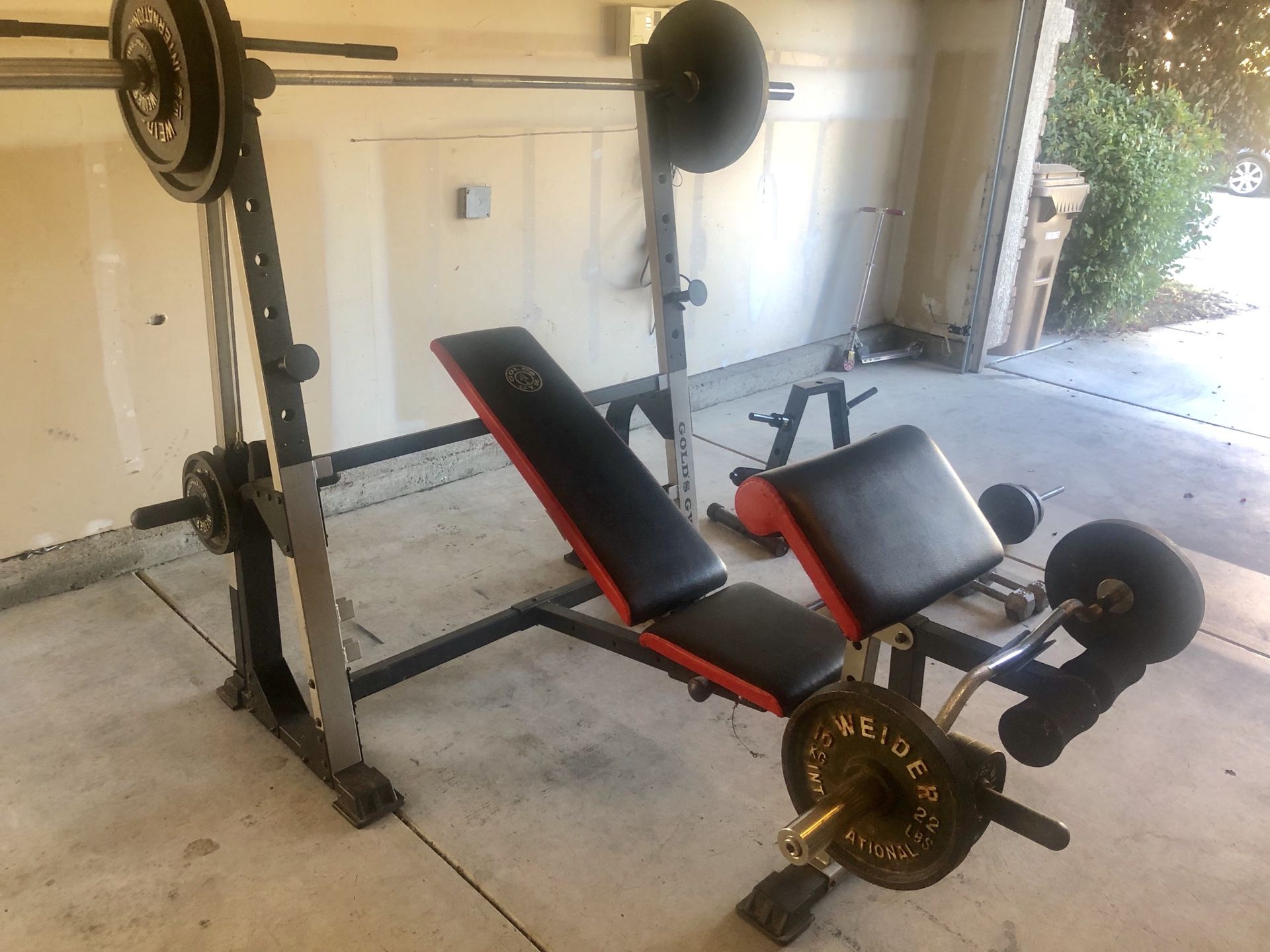 Golds gym olympic bar new arrivals
