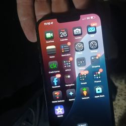 iPhone 13 Pro Max
