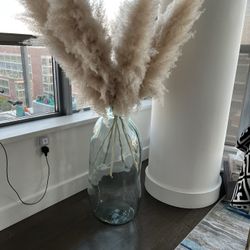 Pampas (without Vase)