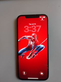 iPhone 12 Pro Max 256 GB - Good Condition