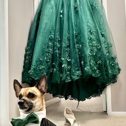 Quinceañera Dress
