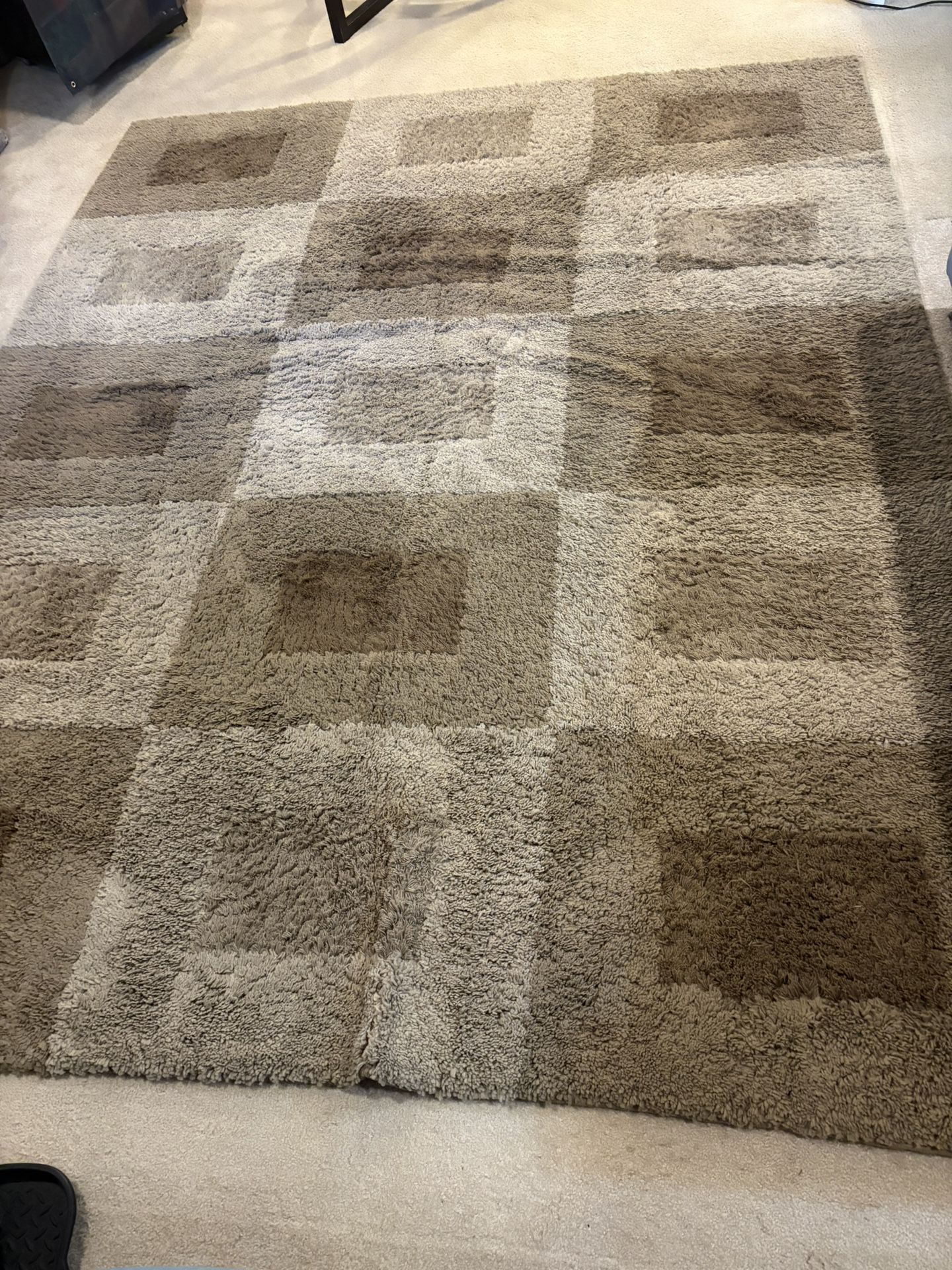 Large Accent/ Area Living Room Rug