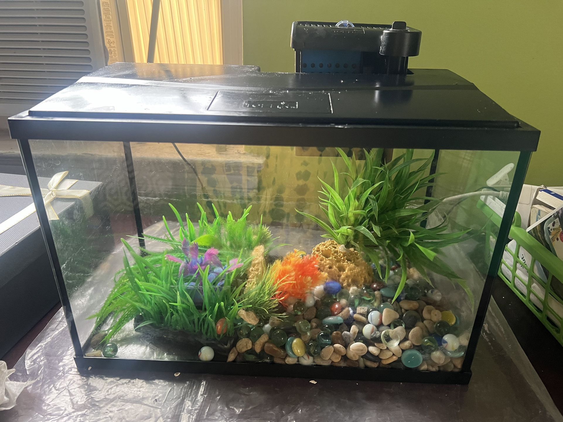 Fish tank with filter and ornaments