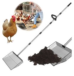 Chicken Poop Scoop