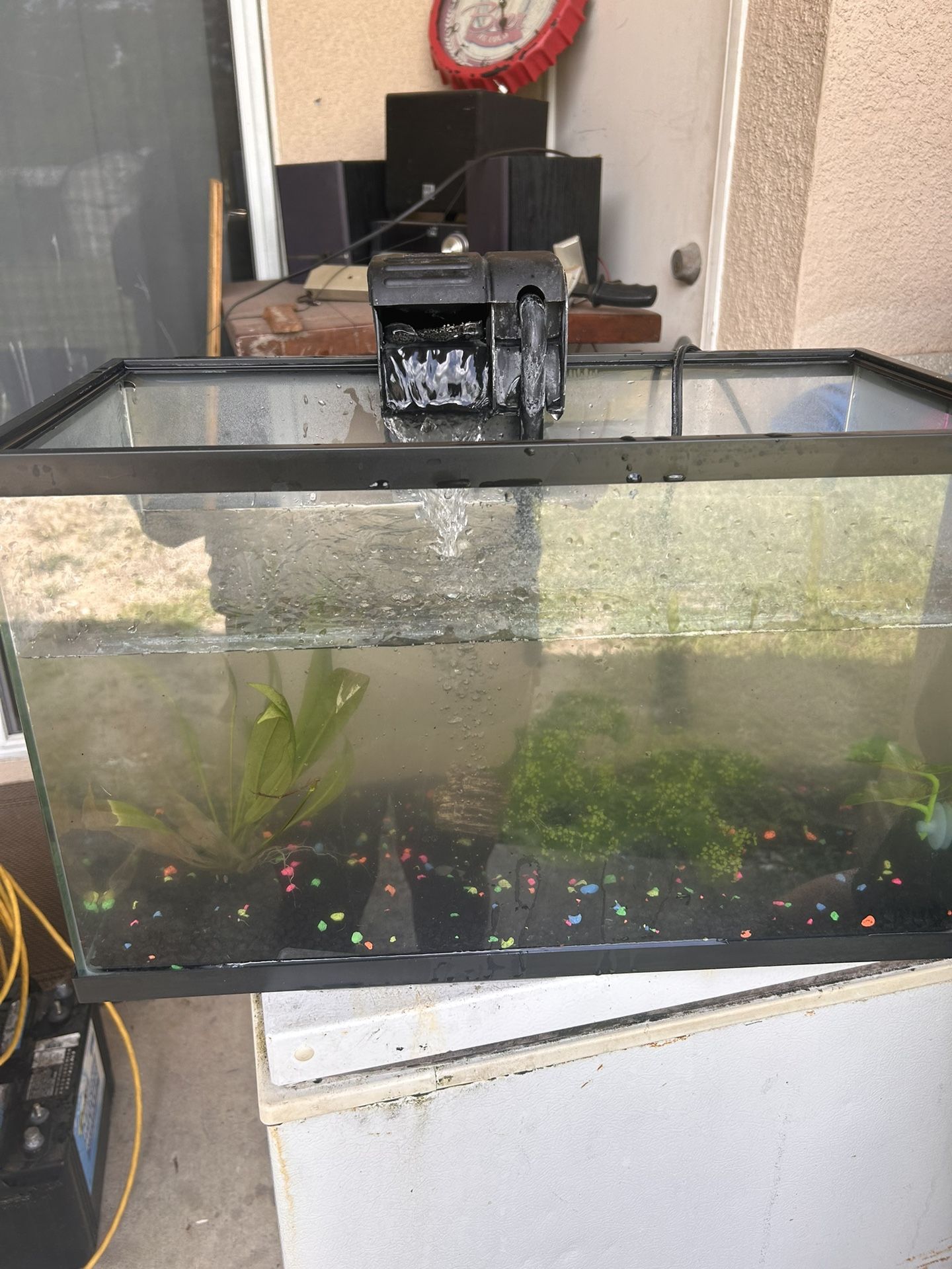 Fish Tank