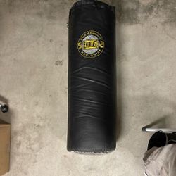 Everlast Punching Bag 