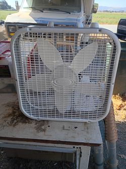 Fan