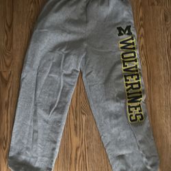 Michigan champion sweats L