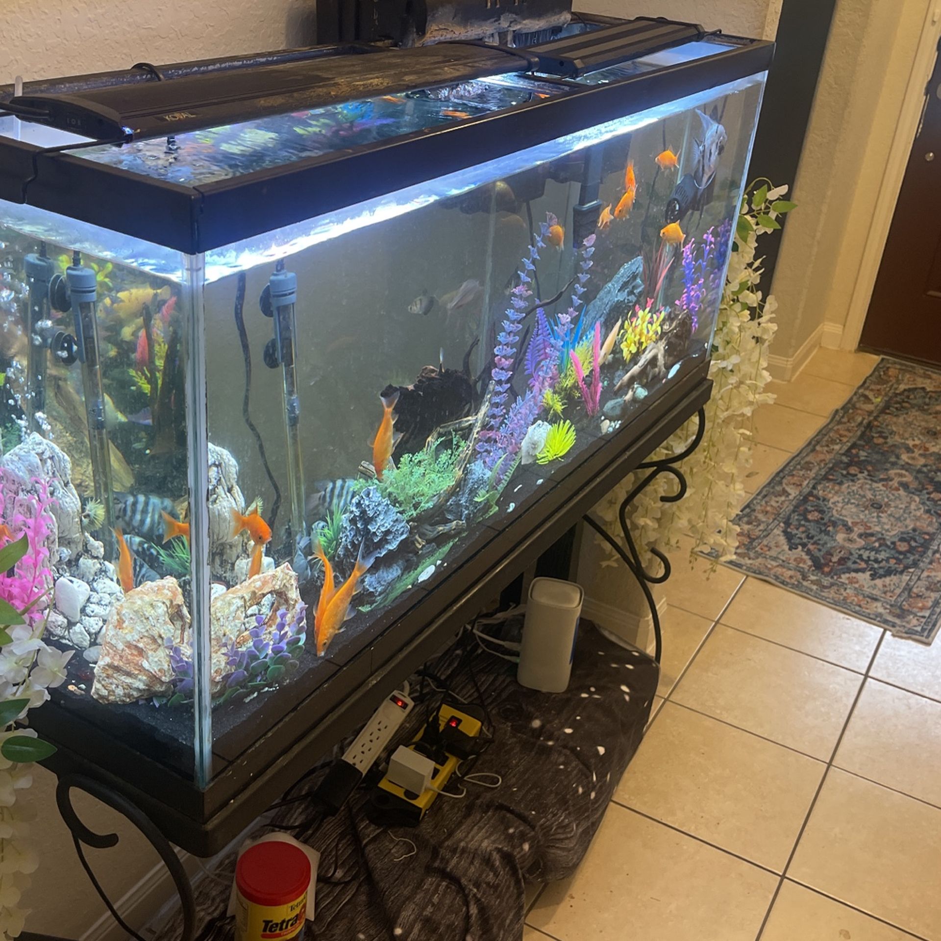 Fish Tank