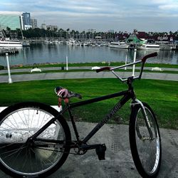 Throne 29er (trades For Another Chrome Bike Or Best Offer)