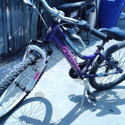 Schwinn Girls Bike