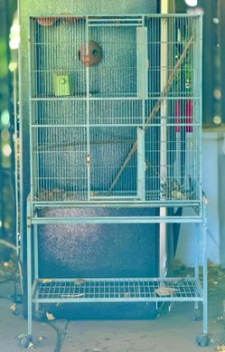Bird cage