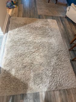 Shag Rug 8ft x 70in