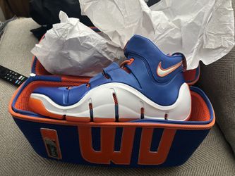 LeBron 4 Birthday Shoe Size 12 Dead Stock Very Rare