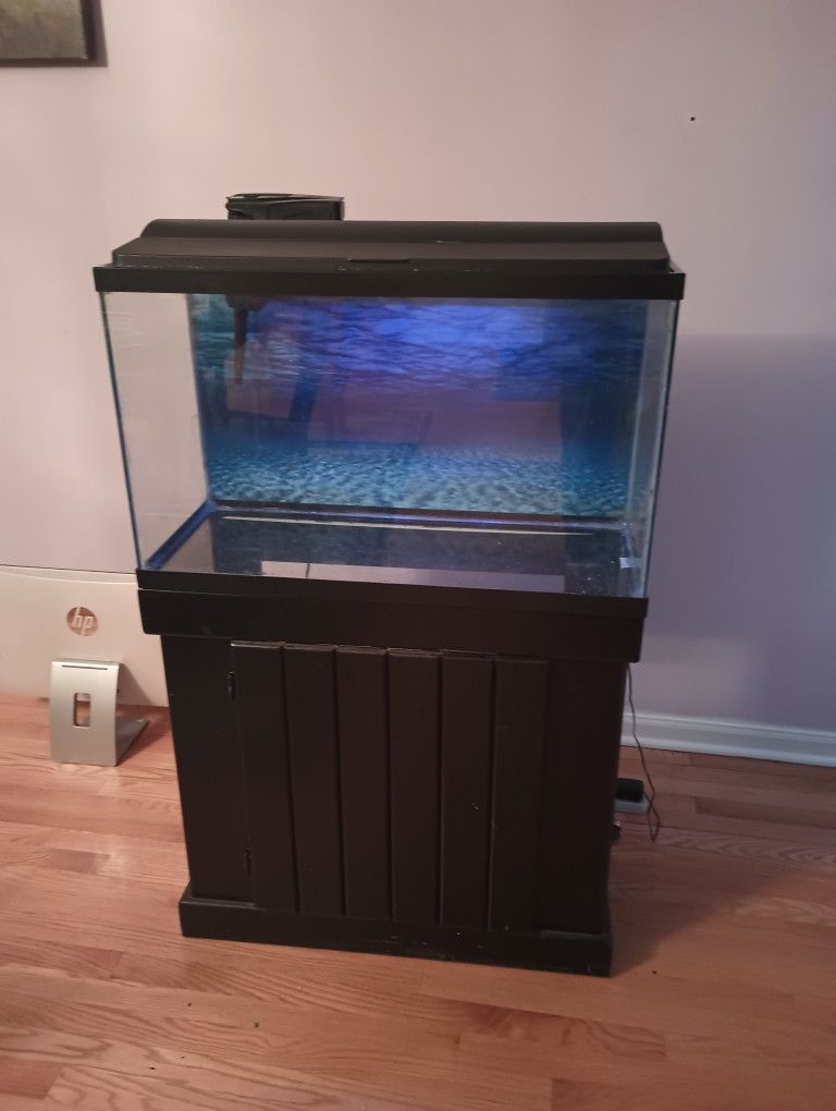 29 Gallon Fish Tank w/ Everything